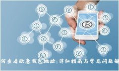 如何查看欧意钱包地址：详细指南与常见问题解