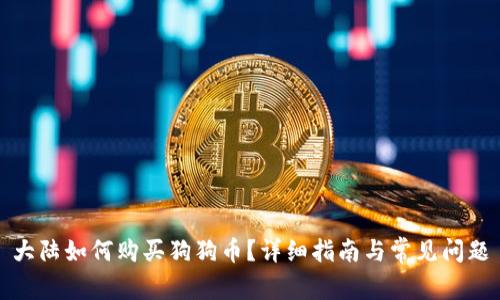 大陆如何购买狗狗币？详细指南与常见问题