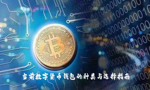 当前数字货币钱包的种类与选择指南