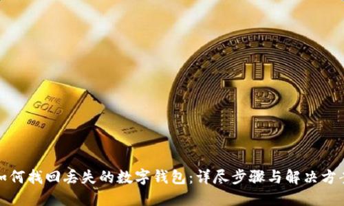 如何找回丢失的数字钱包：详尽步骤与解决方案