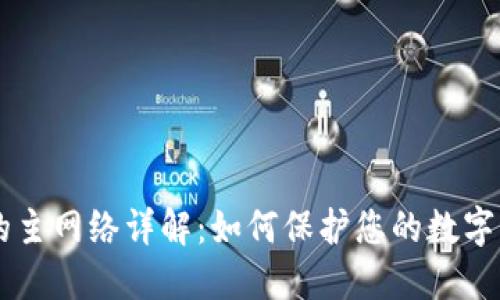 IM钱包的主网络详解：如何保护您的数字资产安全
