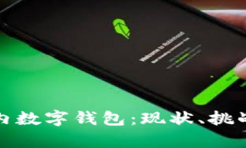 全面解析国内数字钱包：现状、挑战与未来发展
