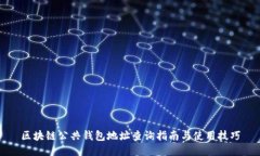 区块链公共钱包地址查询指南与使用技巧