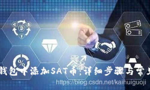 如何在IM钱包中添加SAT币：详细步骤与常见问题解答