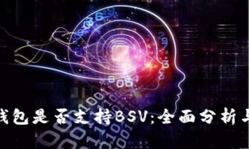 imToken钱包是否支持BSV：全面分析与用户指南