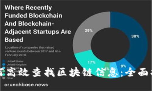 如何高效查找区块链信息：全面指南