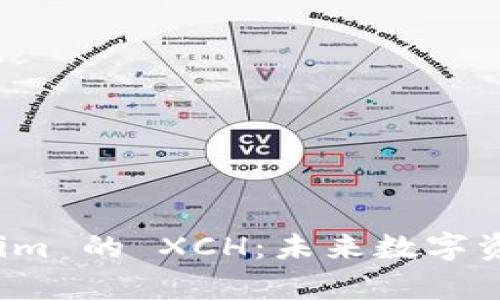 深入解析 Tokenim 的 XCH：未来数字资产的潜力与机遇