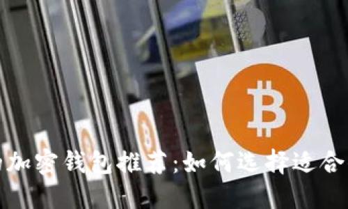 优质最安全的加密钱包推荐：如何选择适合你的加密钱包