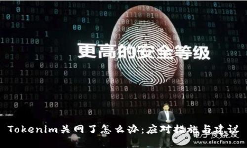 Tokenim关网了怎么办：应对措施与建议
