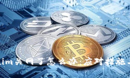 Tokenim关网了怎么办：应对措施与建议