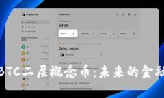 全面解析BTC二层概念币：未来的金融科技革命
