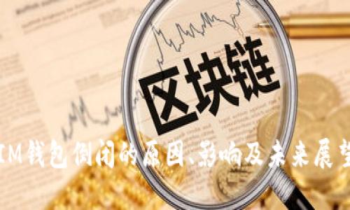 IM钱包倒闭的原因、影响及未来展望