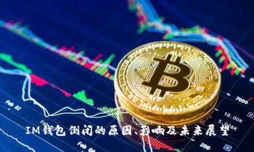 IM钱包倒闭的原因、影响及未来展望