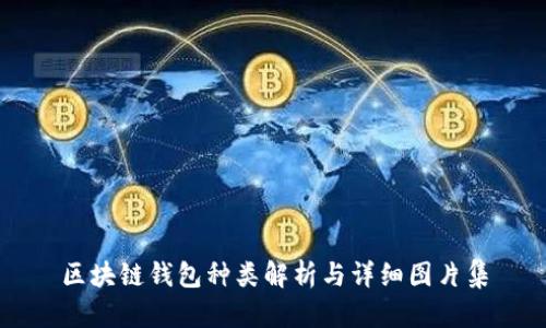 区块链钱包种类解析与详细图片集