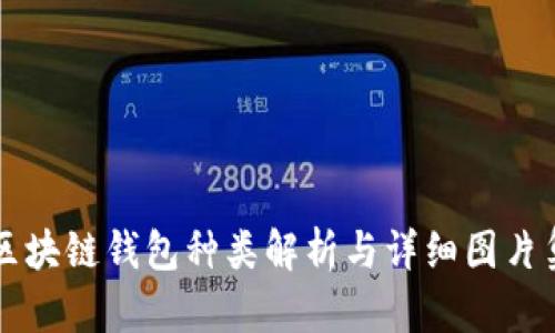区块链钱包种类解析与详细图片集