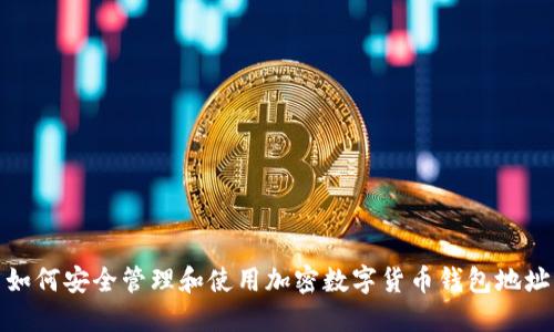 如何安全管理和使用加密数字货币钱包地址