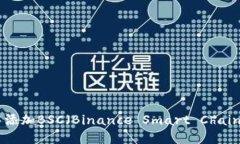 如何在imToken中添加BSC（Binance Smart Chain）的详细步