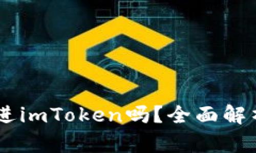 # Pi币能放进imToken吗？全面解析与操作指南