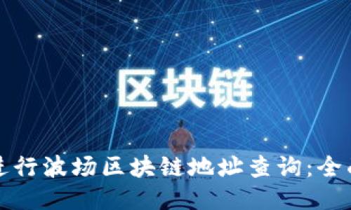 如何进行波场区块链地址查询：全面指南