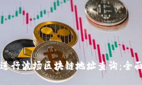 如何进行波场区块链地址查询：全面指南