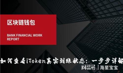 如何查看iToken真实到账状态: 一步步详解