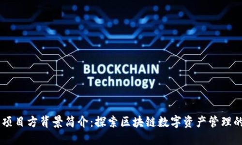 IM钱包项目方背景简介：探索区块链数字资产管理的新未来