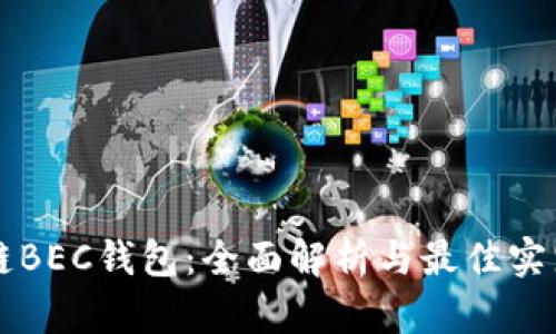 区块链BEC钱包：全面解析与最佳实践指南