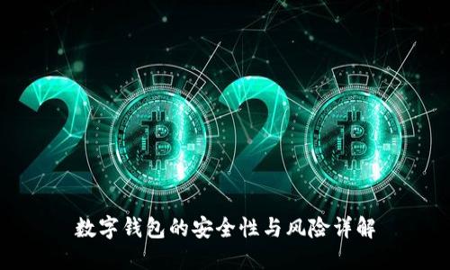 数字钱包的安全性与风险详解