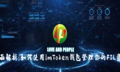 全面解析：如何使用imToken钱包管理你的FIL资产