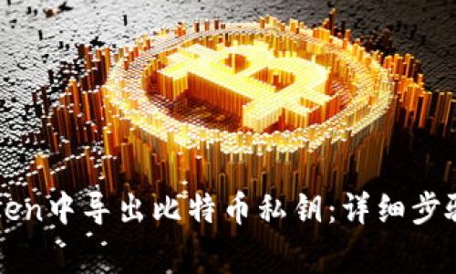 如何在imToken中导出比特币私钥：详细步骤与注意事项