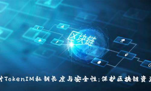 深入探讨TokenIM私钥长度与安全性：保护区块链资产的关键