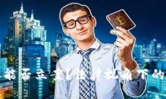 虚拟币转账能否立案？法律视角下的解析与探讨