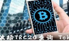 如何使用波场TRC20查询 Token 信息？