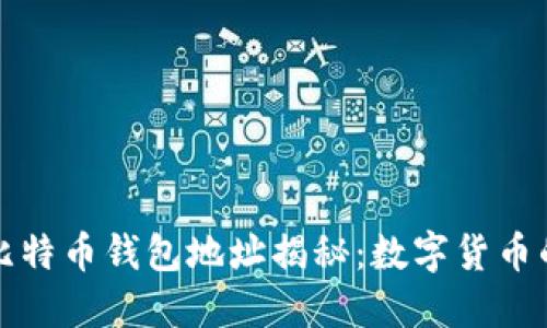 中本聪的比特币钱包地址揭秘：数字货币的神秘面纱