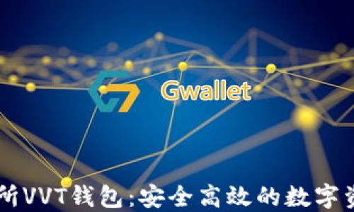 
区块链交易所VVT钱包：安全高效的数字资产管理平台