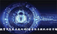 数字钱包是正规的吗？安全性与提现功能详解