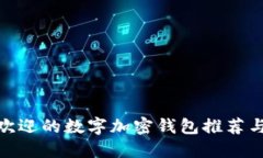 最受欢迎的数字加密钱包推荐与比较