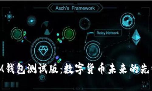 IM钱包测试版：数字货币未来的先锋