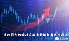  虚拟钱包地址对应的币种解析与使用指南