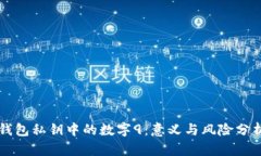 钱包私钥中的数字9：意义与风险分析