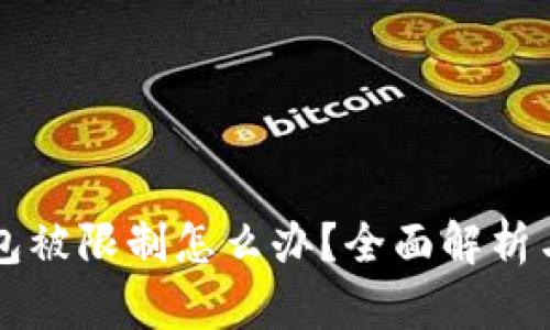 区块链钱包被限制怎么办？全面解析与解决方案