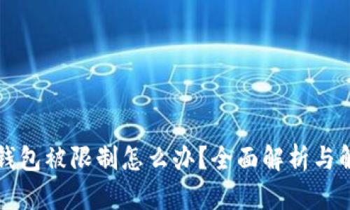 区块链钱包被限制怎么办？全面解析与解决方案