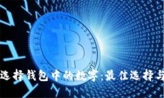 如何选择钱包中的数字：最佳选择与推荐