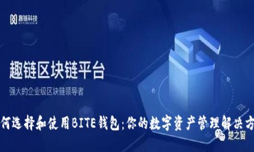 如何选择和使用BITE钱包：你的数字资产管理解决方案