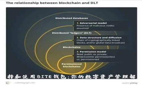 如何选择和使用BITE钱包：你的数字资产管理解决方案
