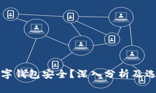 哪个数字钱包安全？深入分析及选择指南