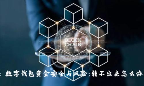 : 数字钱包资金安全与风险：转不出来怎么办？