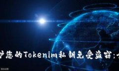 如何保护您的Tokenim私钥免受盗窃：全面指南