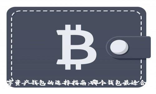 数字资产钱包的选择指南：哪个钱包最适合你?