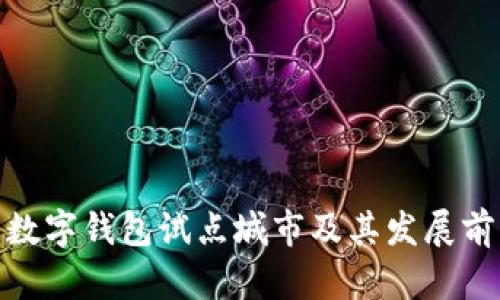 : 数字钱包试点城市及其发展前景